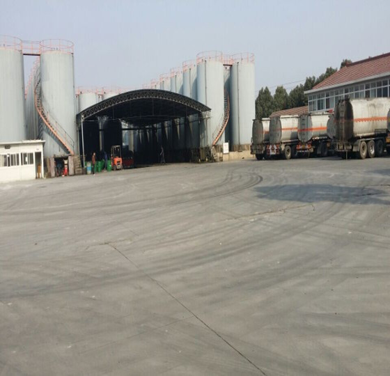 ����鿴��