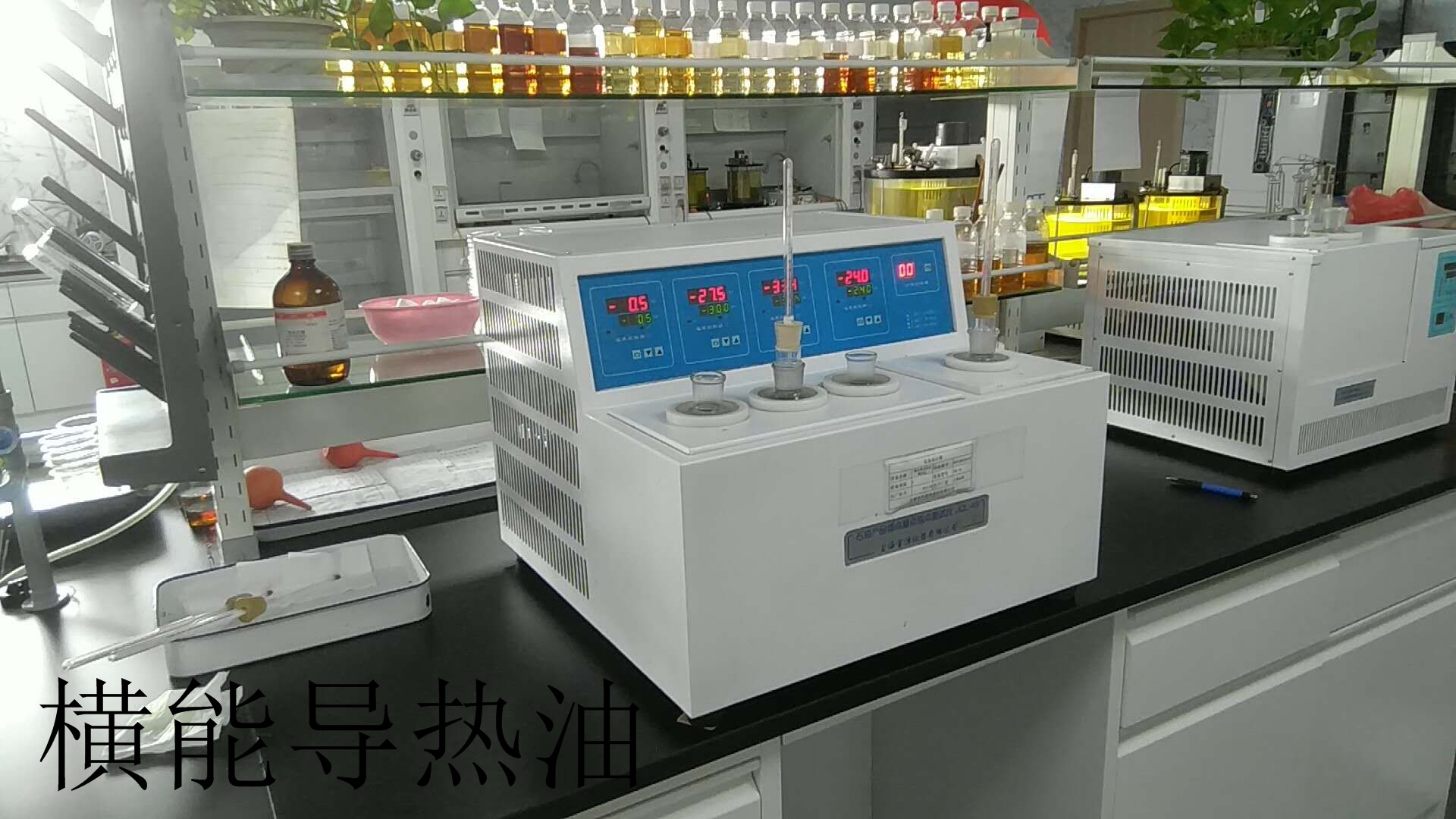 ����鿴��