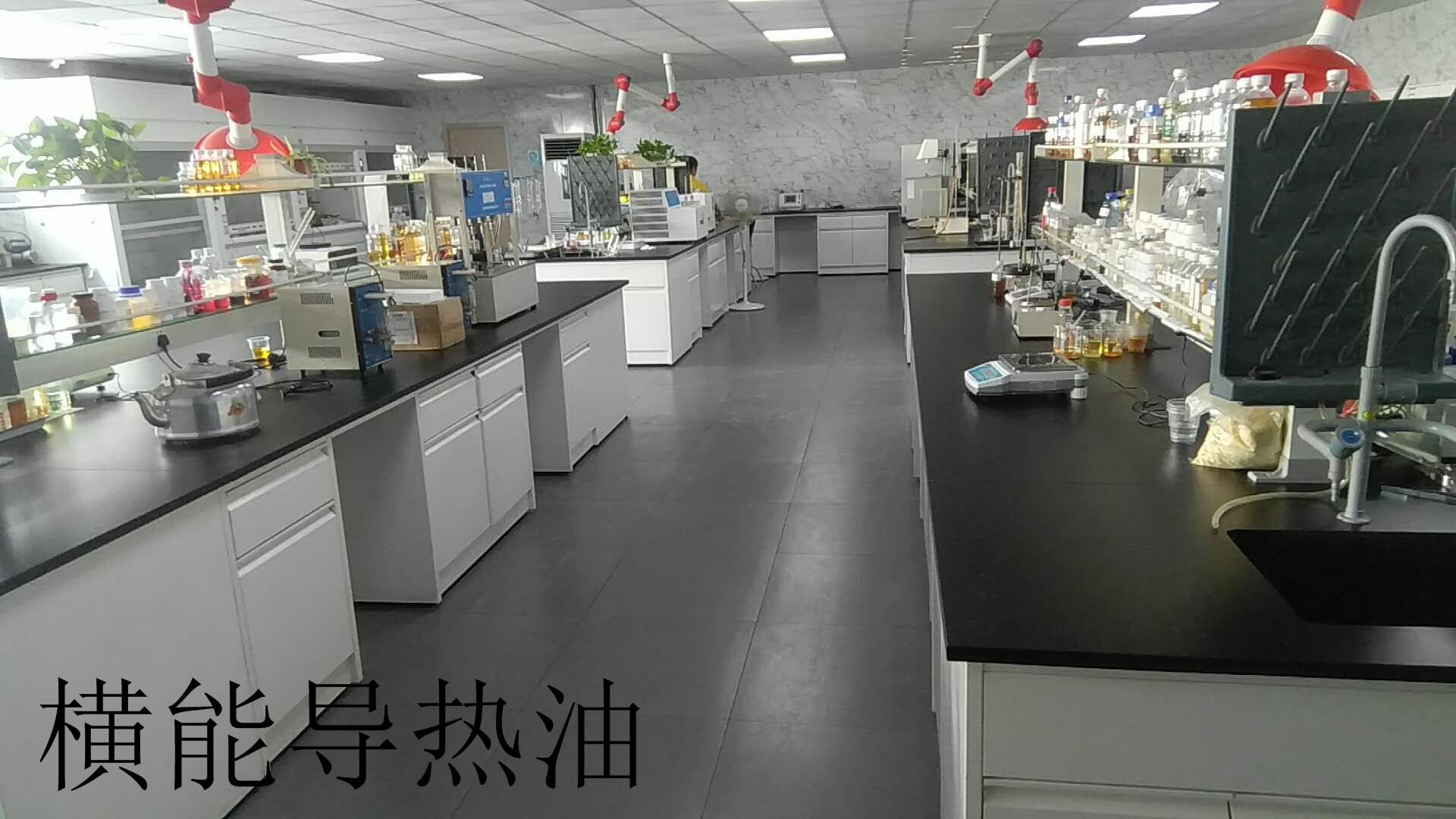 ����鿴��